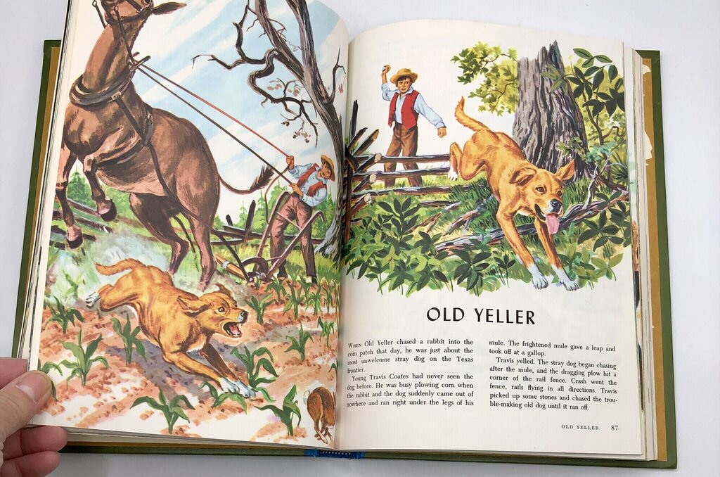 1965 Walt Disney 4 Volume Book Set /b