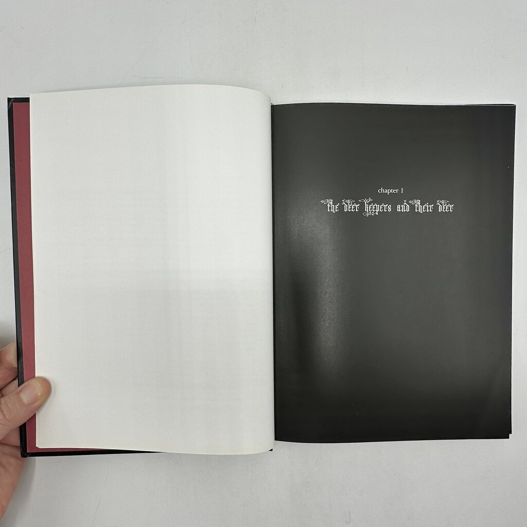 Karen Hsiao Rubber Duck 2010 Fine Art Photography Book Erotica Baby Tattoo Books /cb