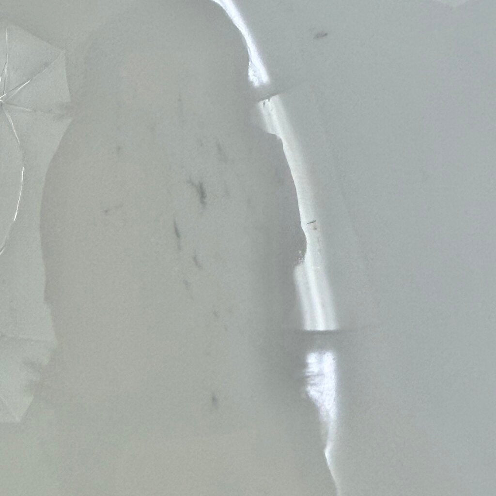 Set Of 4 Fortessa Large 12” Individual Pasta Bowls White Bone China /cb