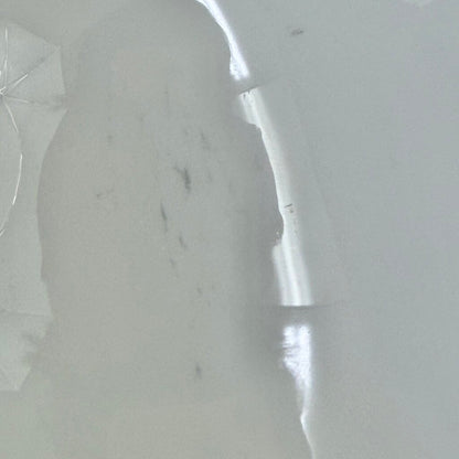 Set Of 4 Fortessa Large 12” Individual Pasta Bowls White Bone China /cb