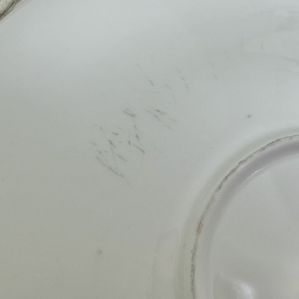 Set Of 4 Fortessa Large 12” Individual Pasta Bowls White Bone China /cb