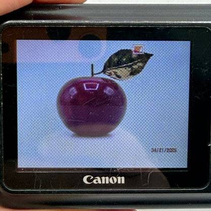 Canon PowerShot A800 Digital Camera 10.0 Mega Pixels w/16GB SDHC Card Tested Works /cb