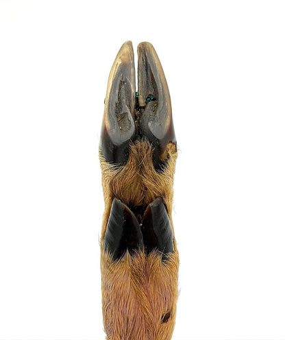 VTG Edge Mark Model 465 Deer Foot Hunting Knife with Leather Sheath