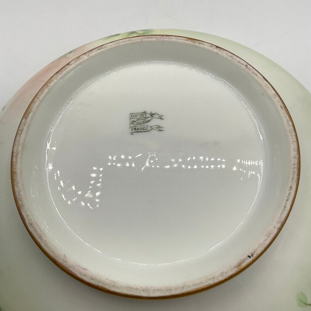 Antique Limoges France Pastel Green Porcelain Bowl and Charger with Hand Painted Pink Roses /f