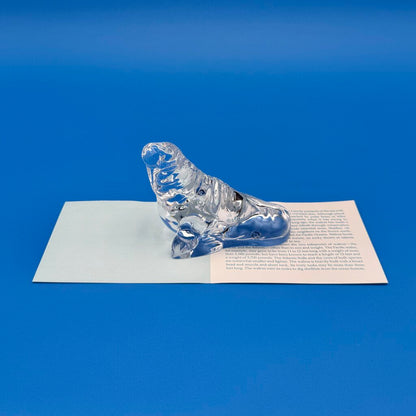 Set Of 5 Franklin Mint Crystal Sea Sculpture Collection By Richard Ellis