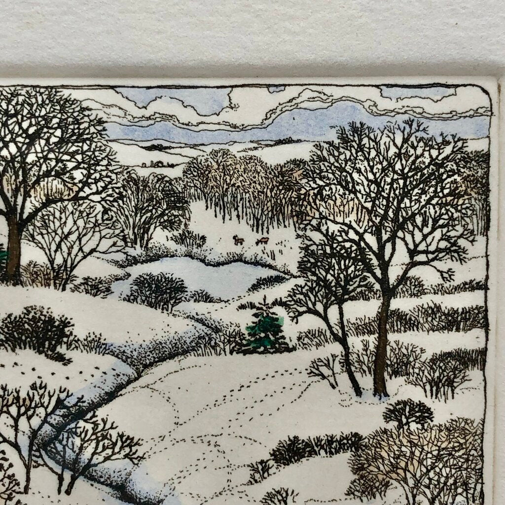 1987 Susan Hunt Wulkowicz Snowy Creek Hand Colored Etching 70/300 Signed /b