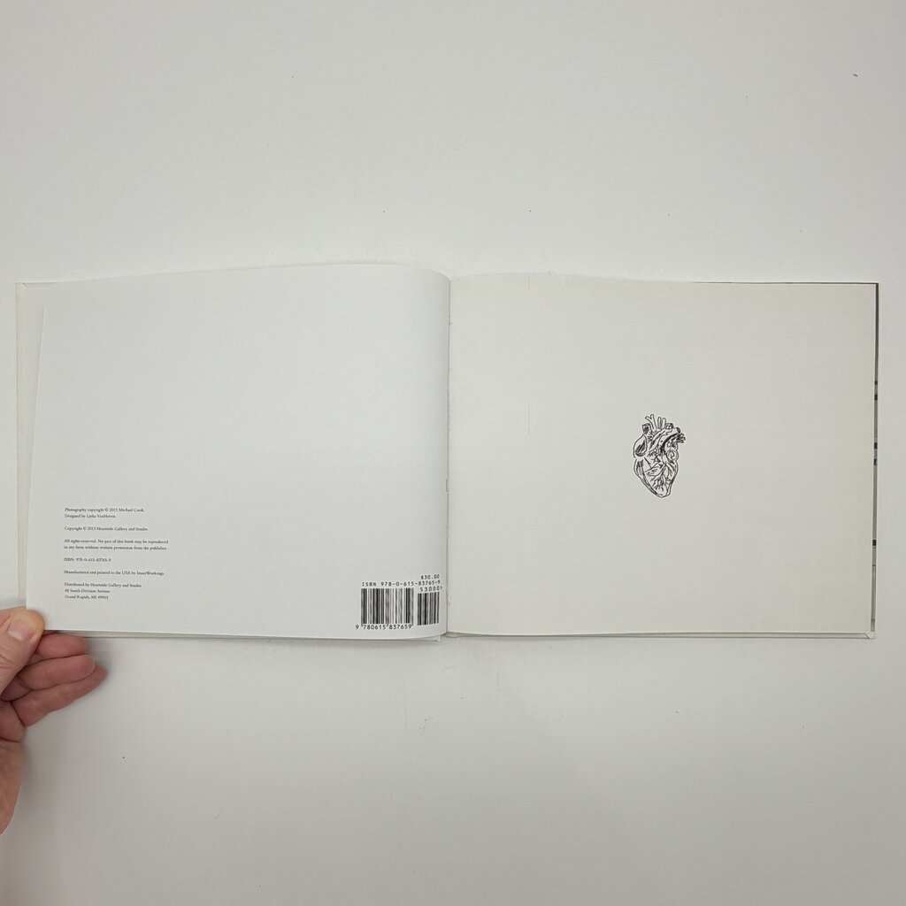An Irregular Heartbeat Artists of Heartside Gallery & Studio Hardcover Book 2013 /cb