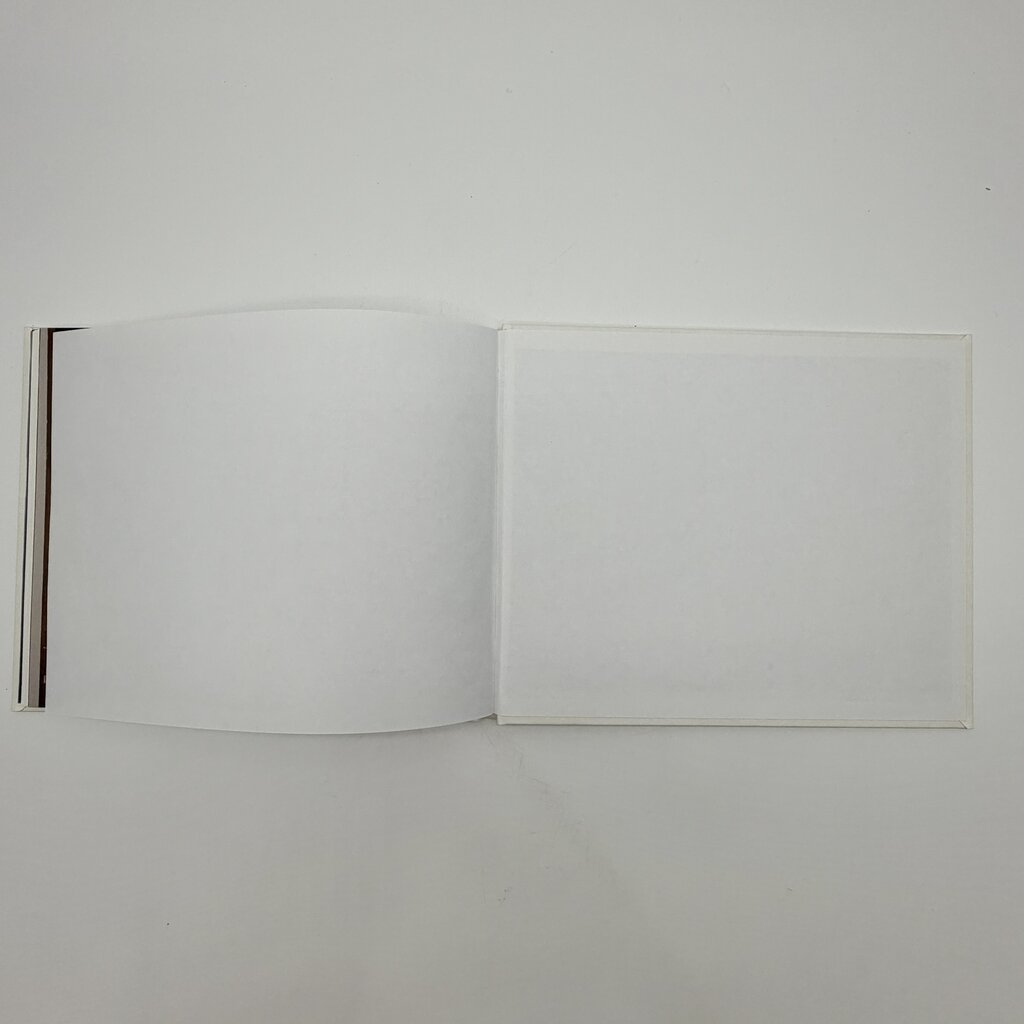 An Irregular Heartbeat Artists of Heartside Gallery & Studio Hardcover Book 2013 /cb