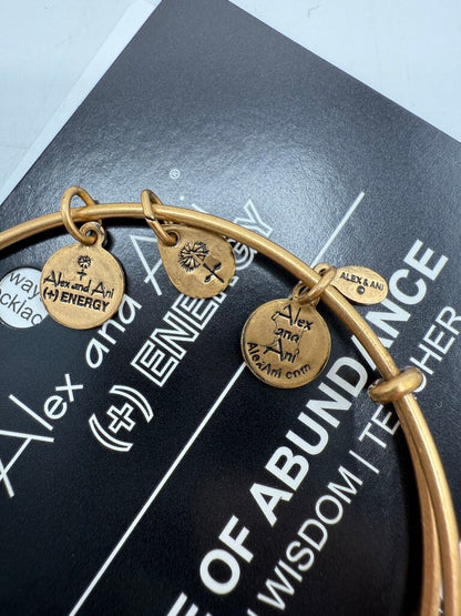 Alex and Ani + Energy Bracelet w/Charms set of 5 /ro