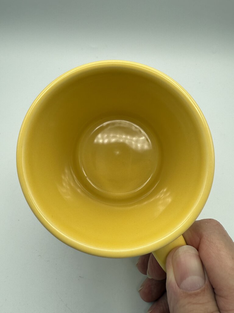 HLC Fiesta Sunflower Yellow Halloween Owl Coffee/Tea Mug /rc