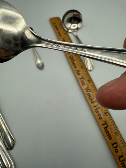 Lot of 13 Silver Plate Petite Serving Utensils /ro