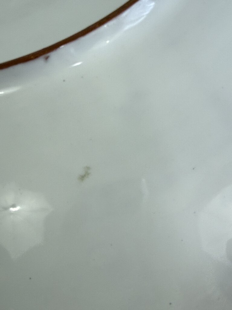 Italian Stoneware Handpainted Salad Bowl and Tongs Veggie Theme /rb