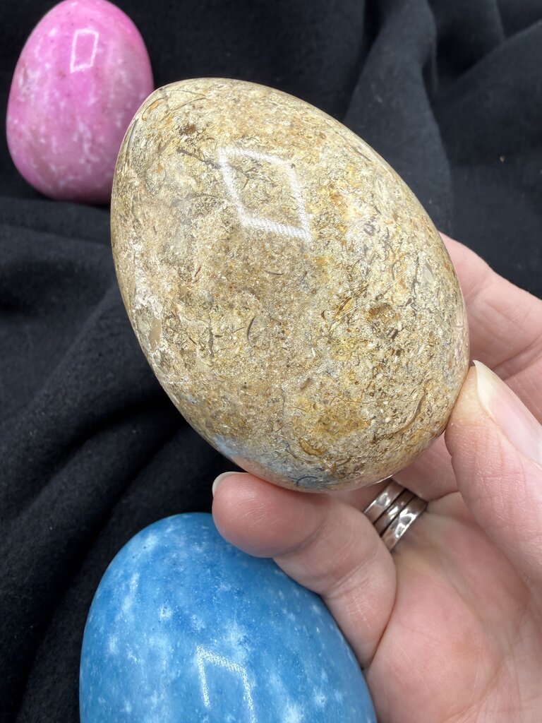 Lot of 6 Alabaster Stone Polished Eggs Strong Colors /ro