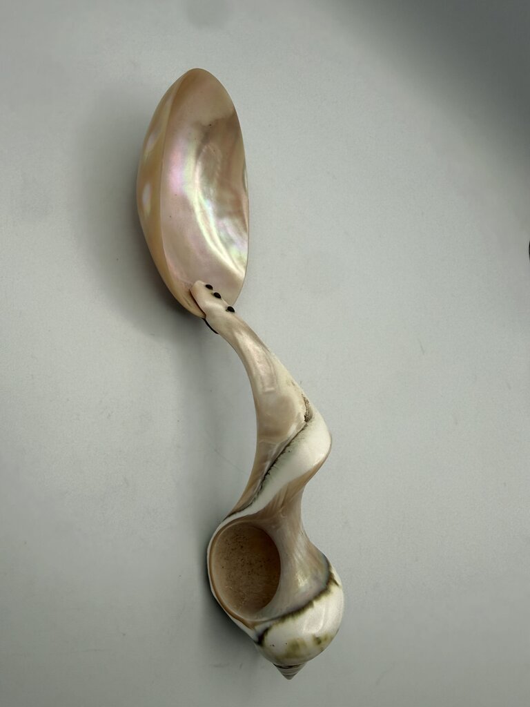 Victorian Welk Sea Shell Caviar Serving Spoon /ro