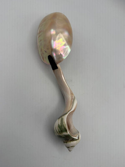 Victorian Welk Sea Shell Caviar Serving Spoon /ro