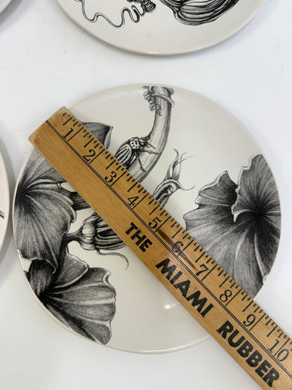 Set of 3 Linda Zindel Design West Elm Gourd/Vine/Bug Plates 8.75” /rb