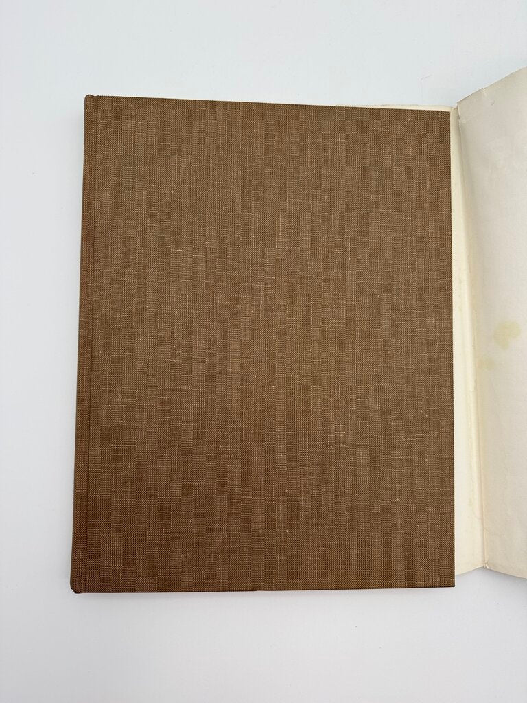 1976 Pictorial History of Grand Rapids Mapes & Travis Hardcover Book /ro